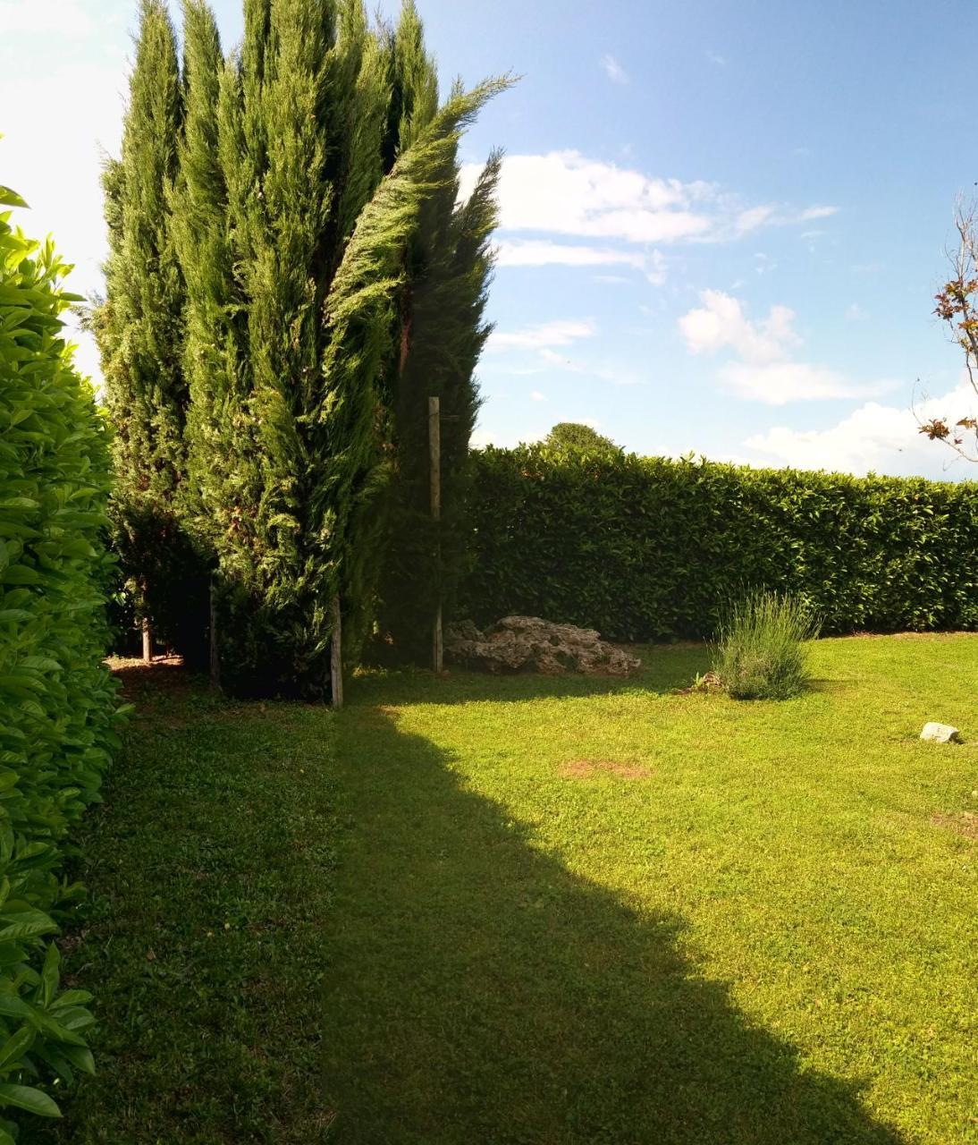 דירות A Viterbo Terme "Casa Vacanze Al Melograno" מראה חיצוני תמונה